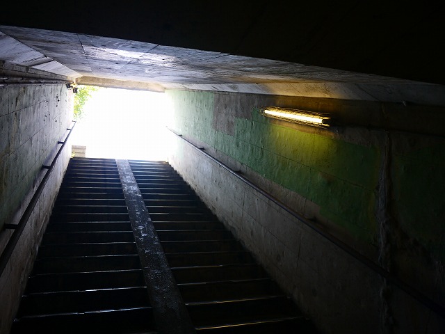 f:id:congiro:20201116001304j:plain