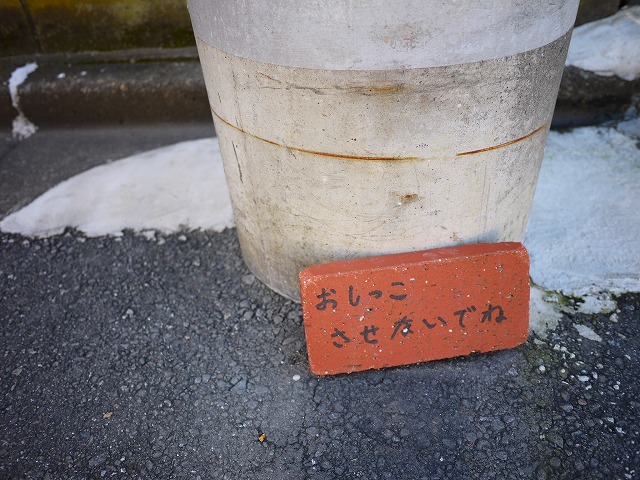 f:id:congiro:20201116001416j:plain