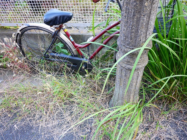 f:id:congiro:20201116001503j:plain