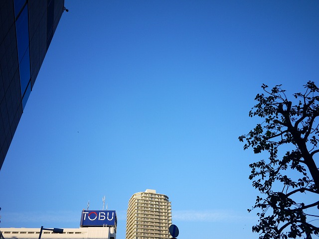 f:id:congiro:20201116001617j:plain