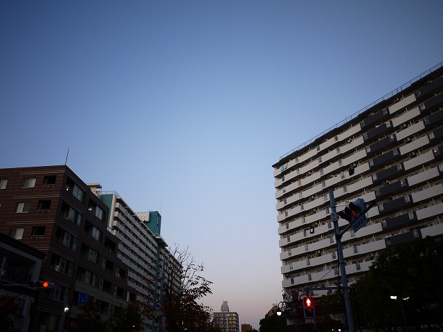 f:id:congiro:20201116001647j:plain