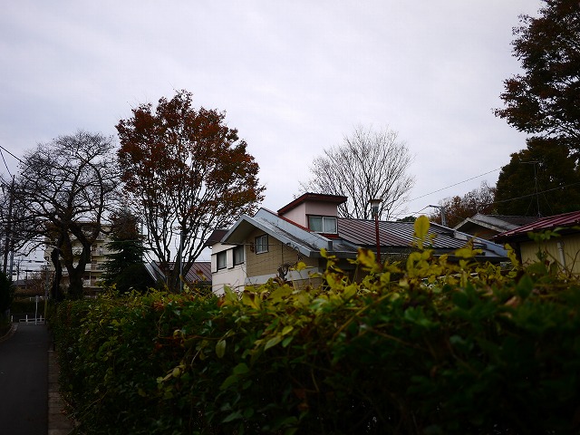 f:id:congiro:20201129181140j:plain