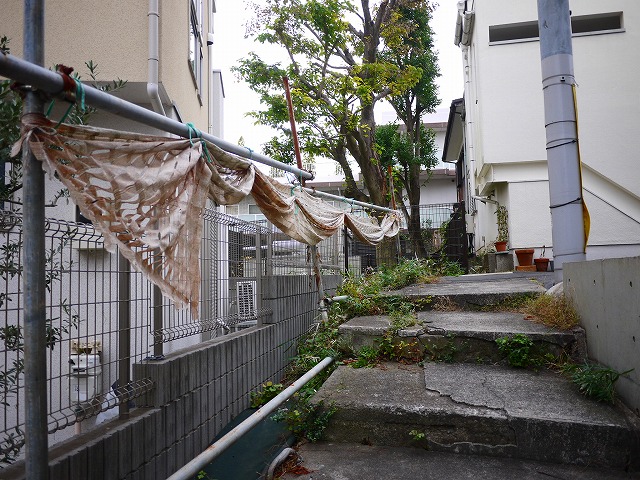 f:id:congiro:20201129181146j:plain