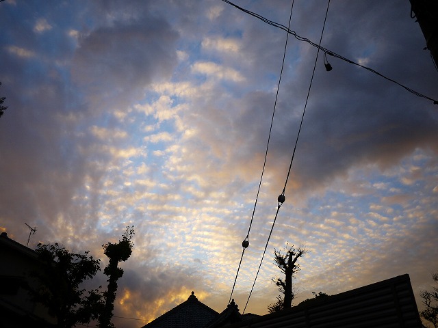 f:id:congiro:20201129181156j:plain