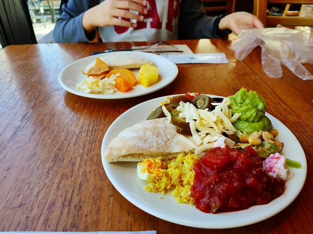 f:id:congiro:20210204133907j:plain