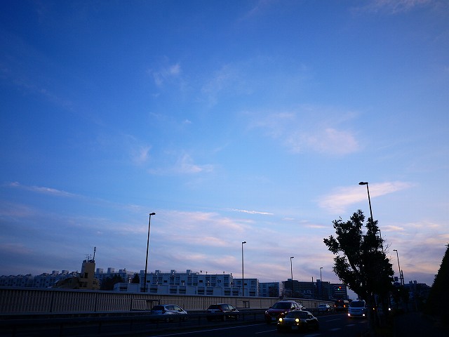 f:id:congiro:20210228233422j:plain