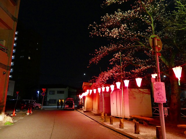 f:id:congiro:20210402232514j:plain