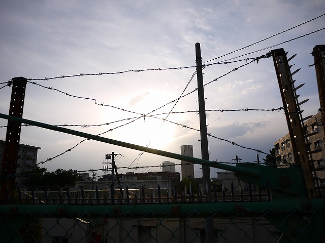 f:id:congiro:20210503113258j:plain