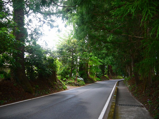 f:id:congiro:20210509180406j:plain