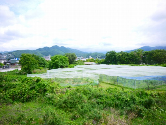 f:id:congiro:20210607172328j:plain