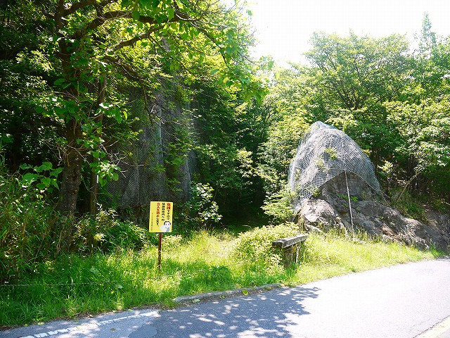 f:id:congiro:20210616003754j:plain