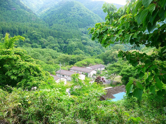 f:id:congiro:20210616005117j:plain