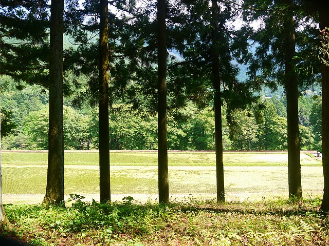 f:id:congiro:20210616005219j:plain