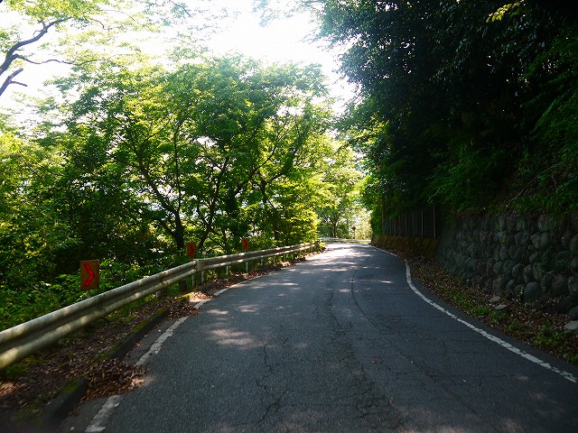 f:id:congiro:20210616005248j:plain