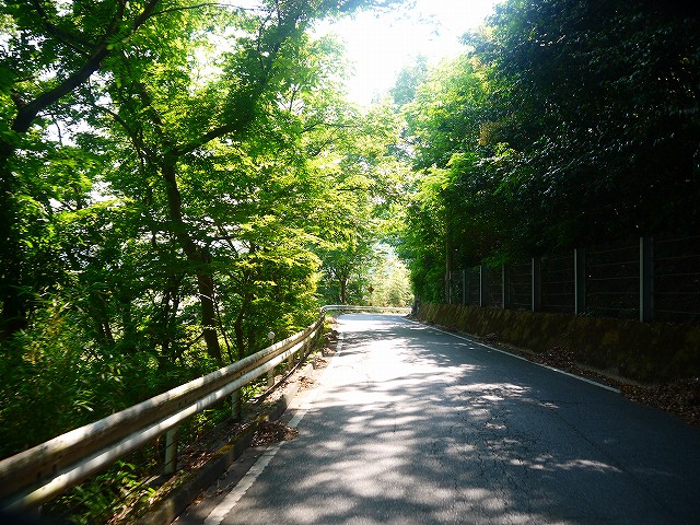 f:id:congiro:20210616005251j:plain