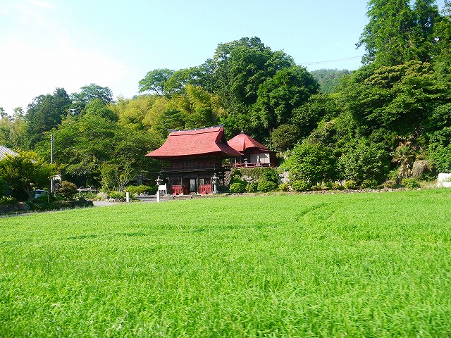 f:id:congiro:20210616005559j:plain