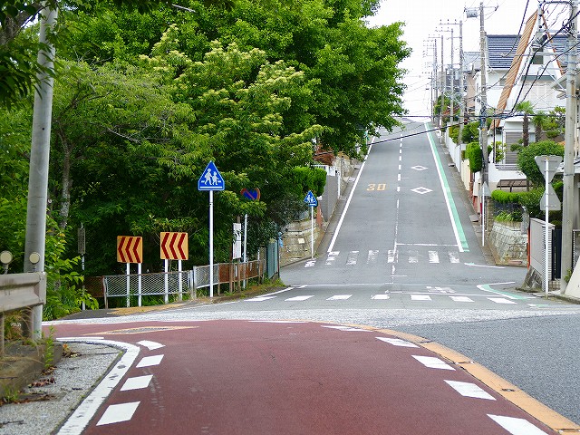 f:id:congiro:20210702205136j:plain