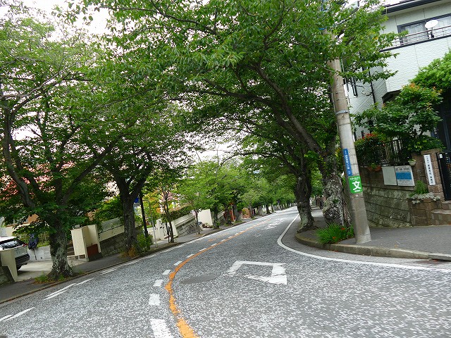 f:id:congiro:20210702205206j:plain