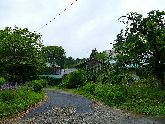 f:id:congiro:20210704162647j:plain