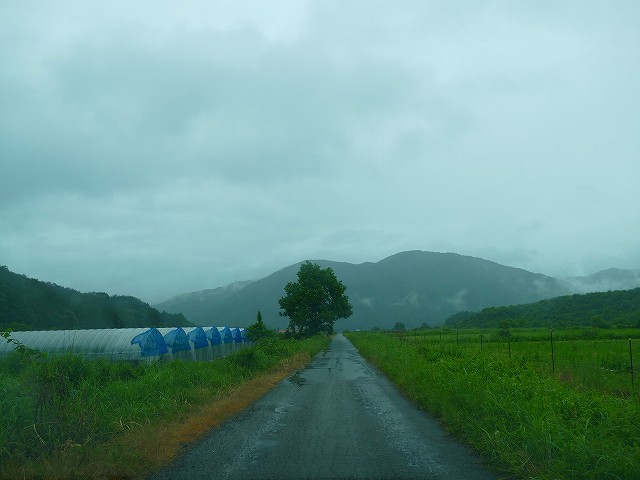 f:id:congiro:20210704163045j:plain