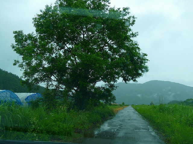 f:id:congiro:20210704163049j:plain