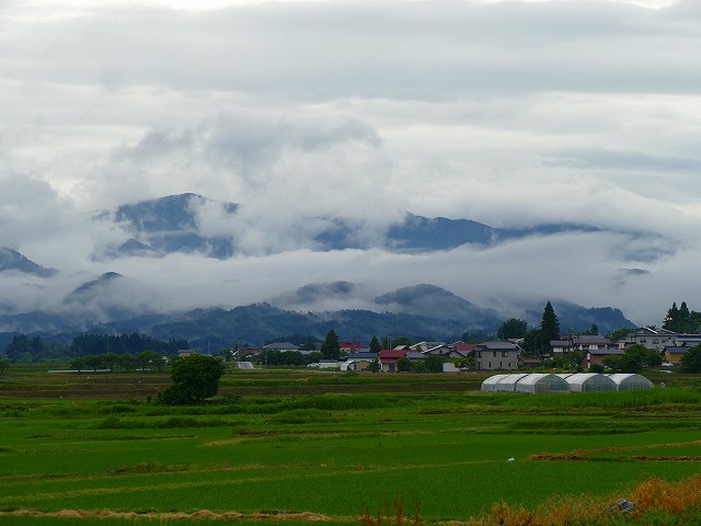 f:id:congiro:20210704164204j:plain