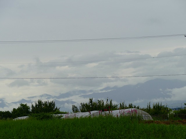 f:id:congiro:20210704164208j:plain