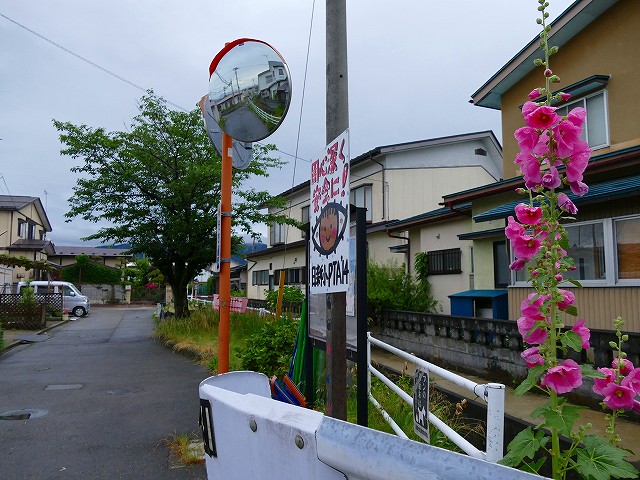 f:id:congiro:20210704164258j:plain