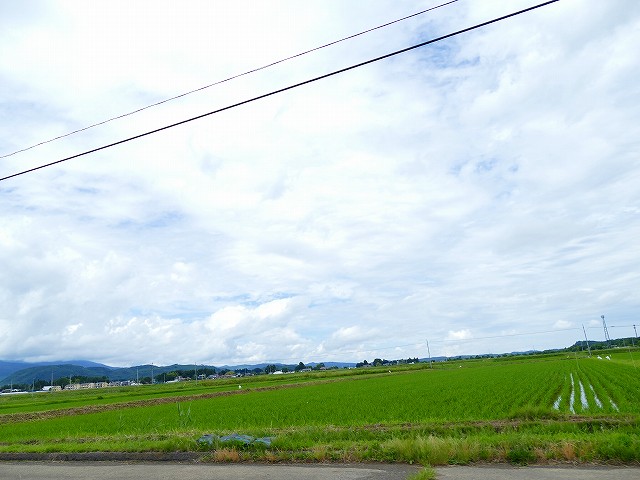 f:id:congiro:20210704165920j:plain