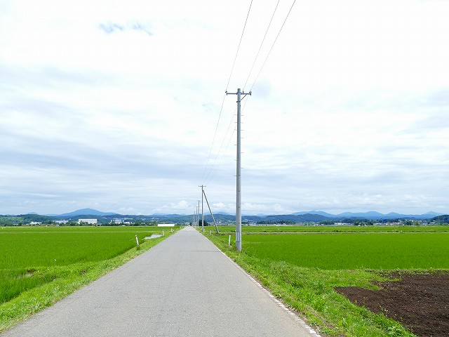 f:id:congiro:20210704170051j:plain