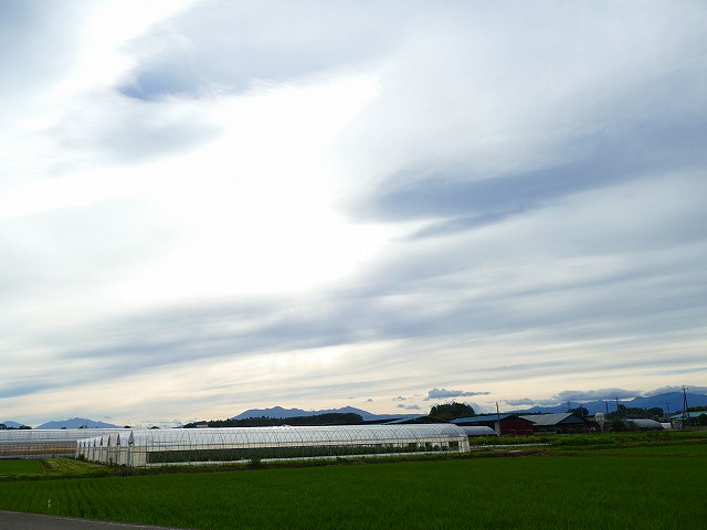 f:id:congiro:20210704170833j:plain