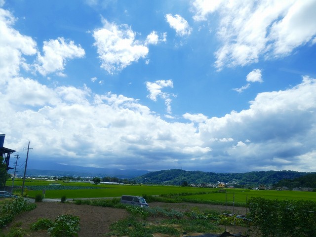 f:id:congiro:20210811012358j:plain