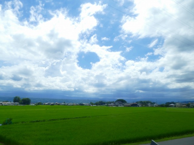 f:id:congiro:20210811012406j:plain