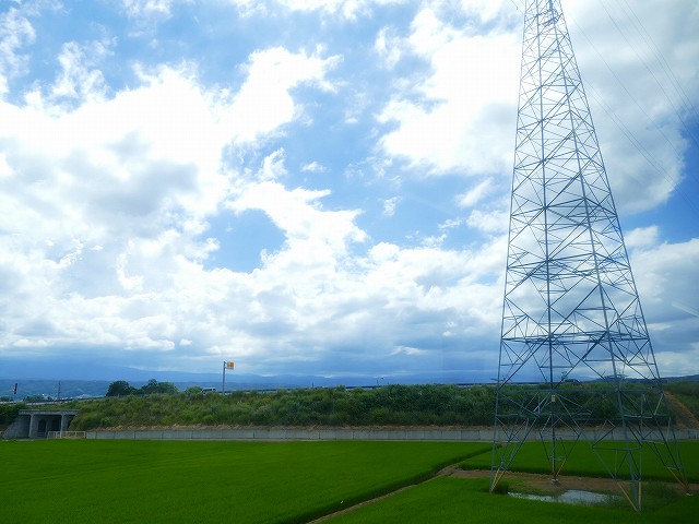 f:id:congiro:20210811012410j:plain