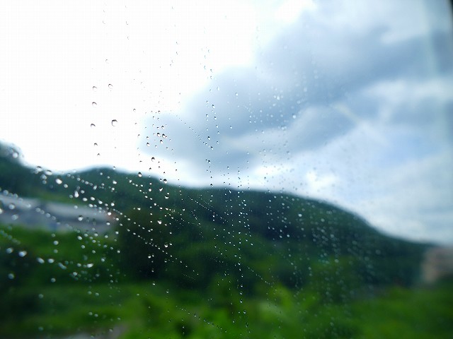 f:id:congiro:20210811012440j:plain