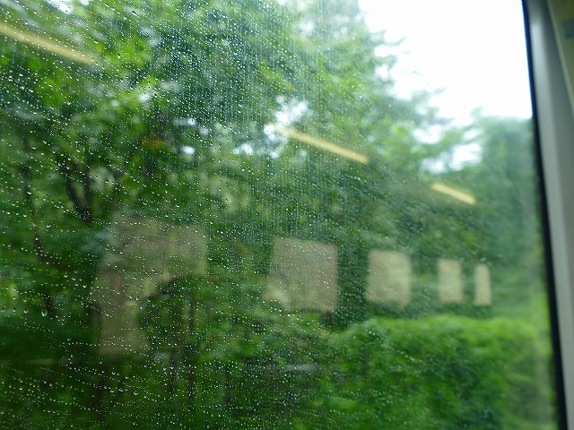 f:id:congiro:20210811012444j:plain