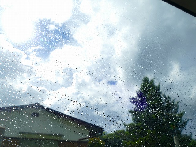 f:id:congiro:20210811012453j:plain