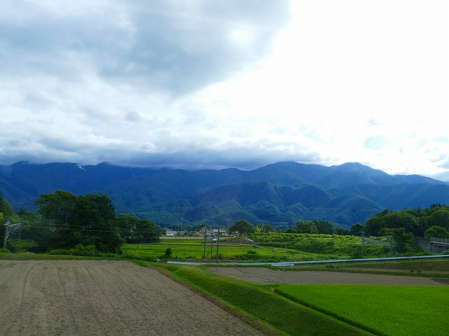 f:id:congiro:20210811012510j:plain