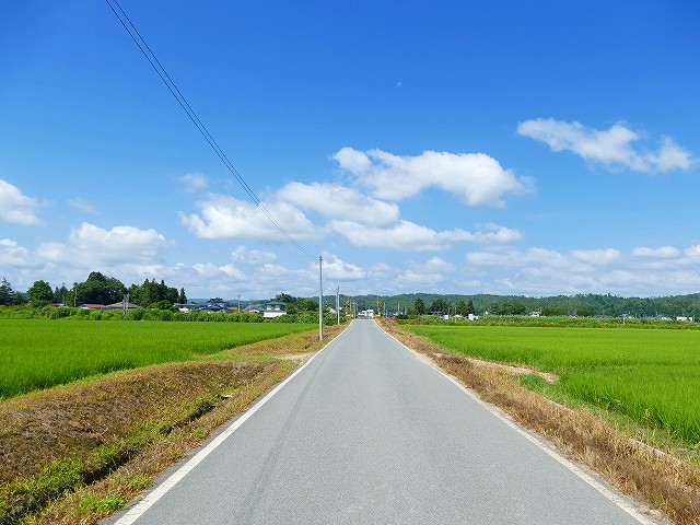f:id:congiro:20210818002456j:plain