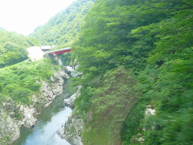 f:id:congiro:20210818003318j:plain