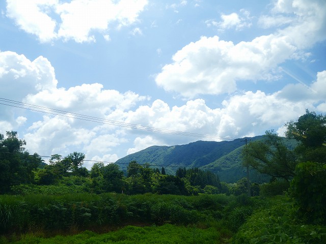 f:id:congiro:20210818003327j:plain