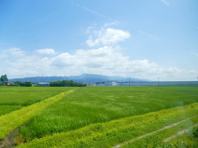 f:id:congiro:20210818003441j:plain