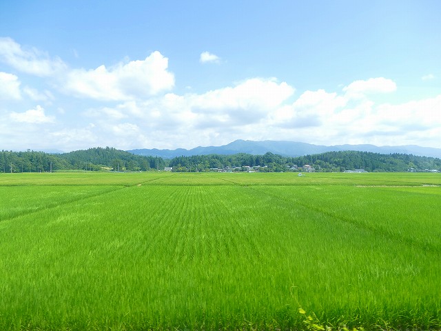 f:id:congiro:20210818003450j:plain