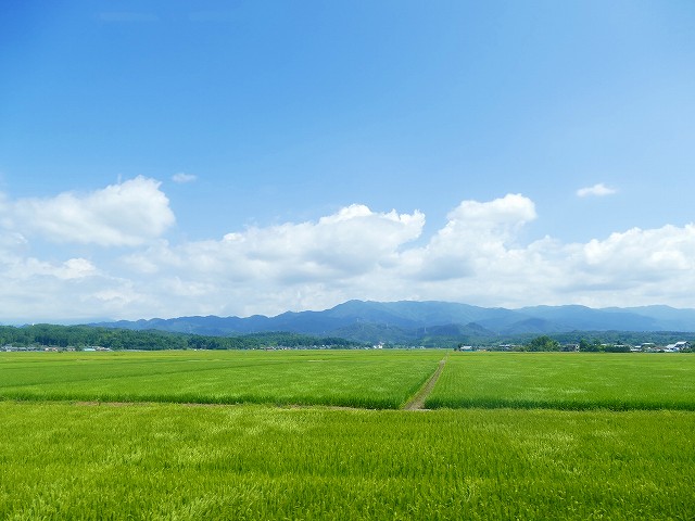 f:id:congiro:20210818003459j:plain