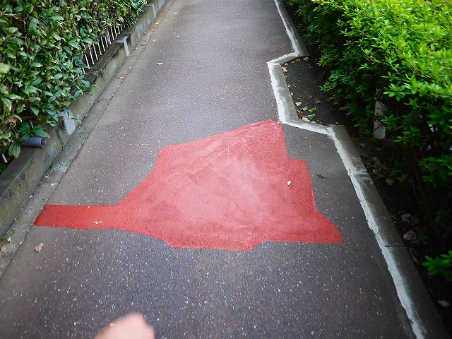 f:id:congiro:20211004175129j:plain