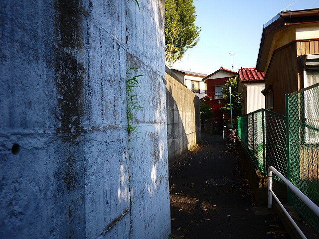 f:id:congiro:20211004175457j:plain