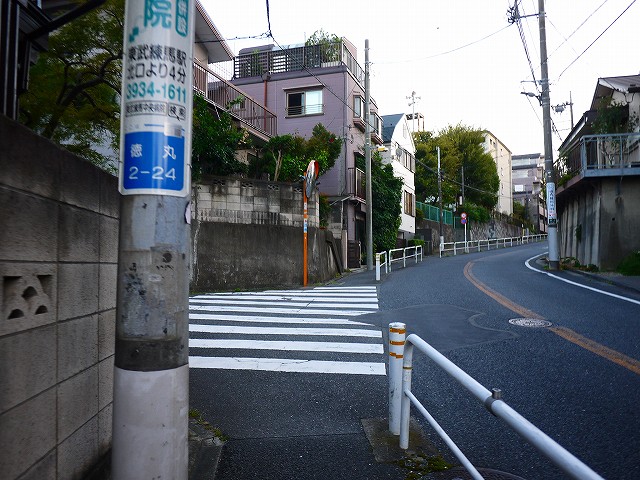f:id:congiro:20211004175633j:plain