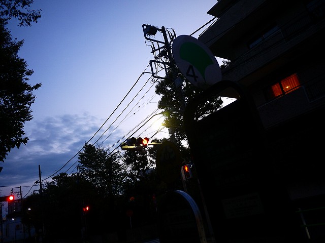 f:id:congiro:20211113143541j:plain