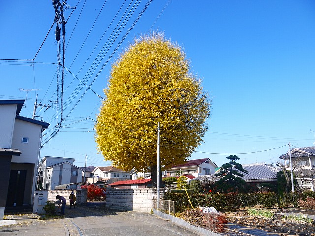 f:id:congiro:20211216200927j:plain