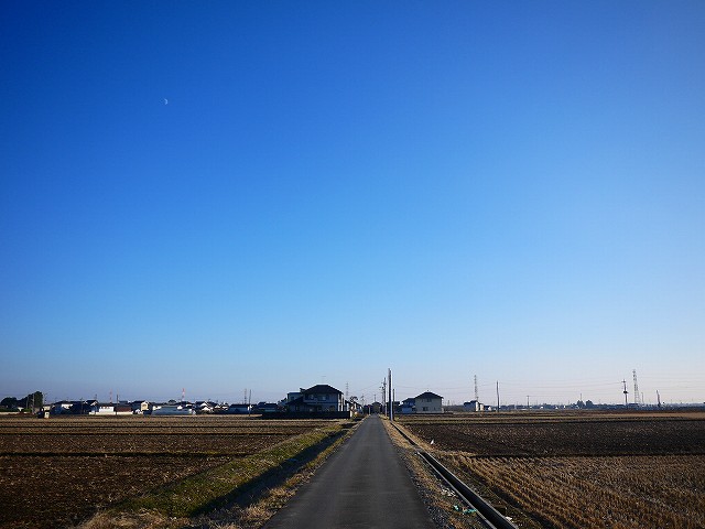 f:id:congiro:20211216202058j:plain
